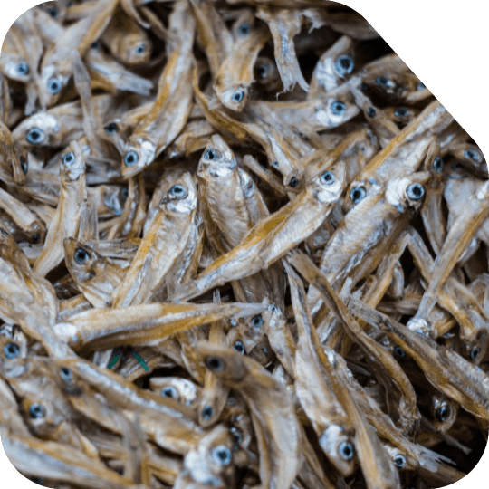 Dry Fish