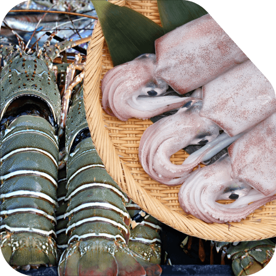 Squids & Lobsters
